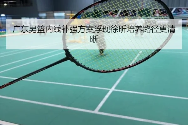 广东男篮内线补强方案浮现徐昕培养路径更清晰