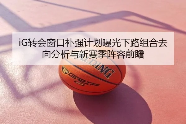 iG转会窗口补强计划曝光下路组合去向分析与新赛季阵容前瞻