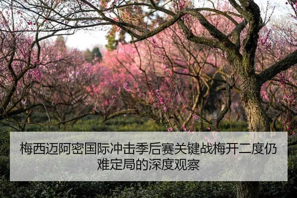 梅西迈阿密国际冲击季后赛关键战梅开二度仍难定局的深度观察