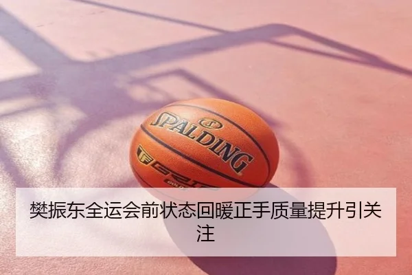 樊振东全运会前状态回暖正手质量提升引关注